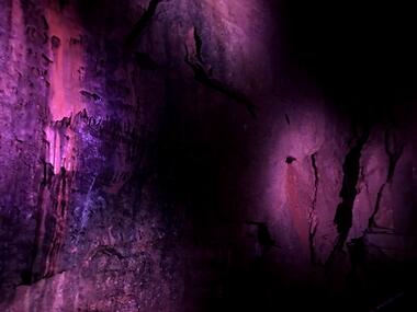 gallery-images/Purple 5.jpg